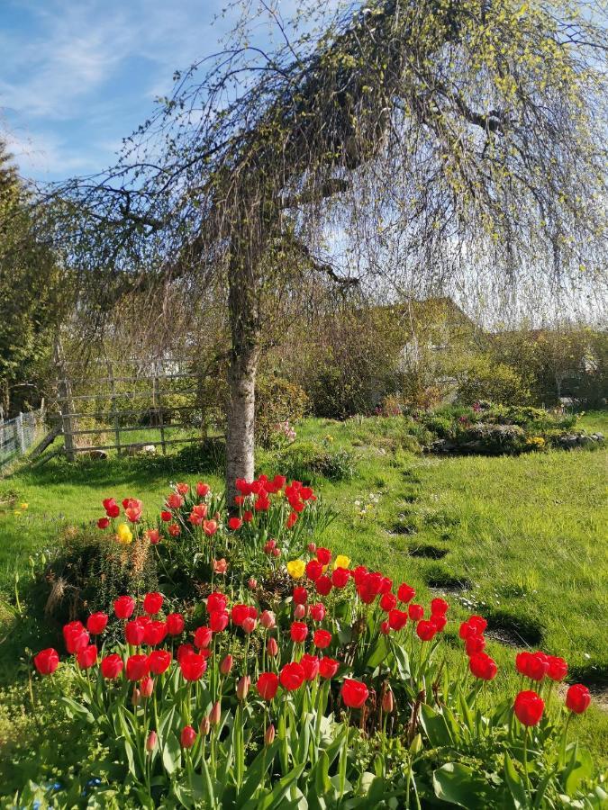 Moderne Ferienwohnung Gartenblick Amtzell Exteriör bild